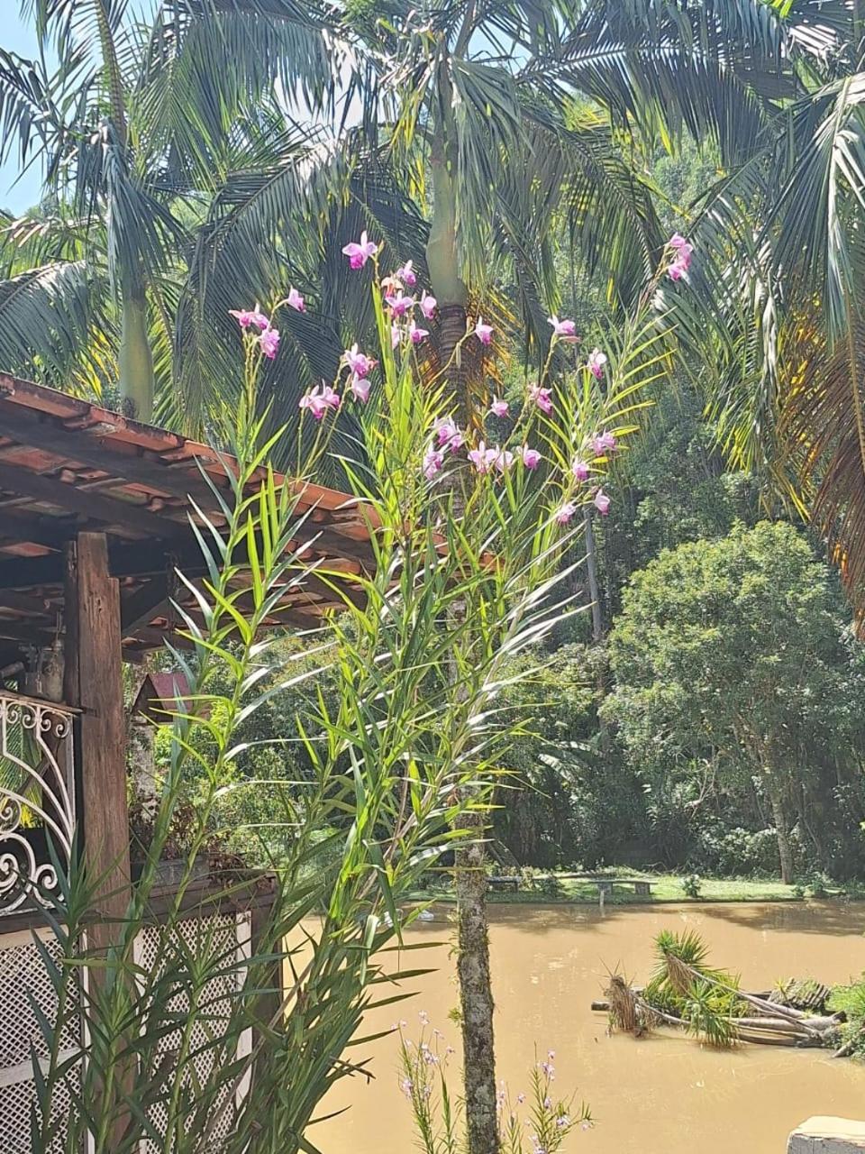 Villa Chacara Ladeira De Pedra Salesópolis Exterior foto